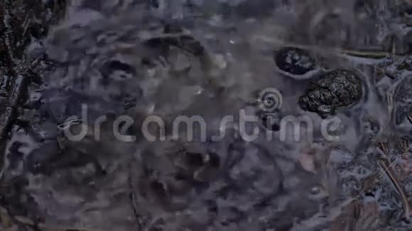 雨水滴在水坑里慢动作视频的预览图