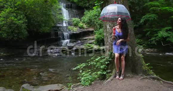 一个年轻的女人拿着雨伞站在瀑布边的森林里看着落水视频的预览图