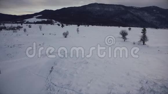 冬季被雪覆盖的空中射击森林视频的预览图