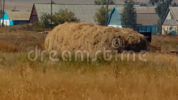 干草堆在农场收割后折叠起来视频的预览图