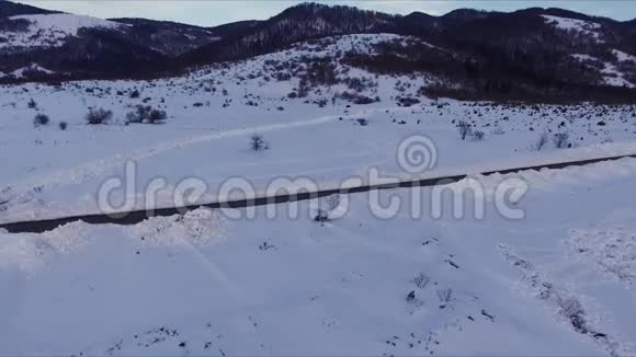 冬季被雪覆盖的空中射击森林视频的预览图