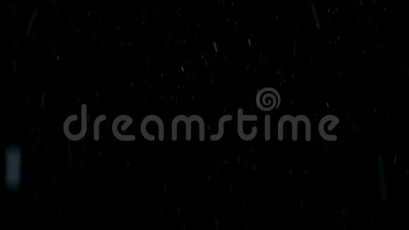 美丽的白色雪花飘落在黑色的背景上动画黑色背景下的雪花动画视频的预览图