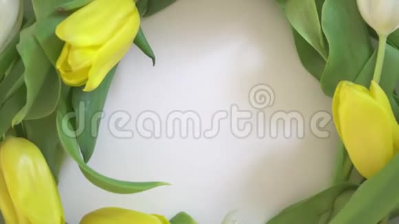 郁金香旋转春天的花朵视频的预览图