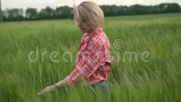 年轻漂亮的姑娘旋转着举起双手放在绿色的春天的麦田上视频的预览图