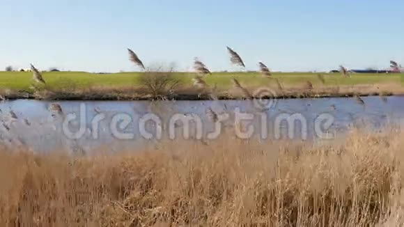 荷兰Reitdiep摄影棚河视频的预览图