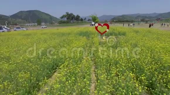 金海铁路金海韩国亚洲盛开的玉彩卡诺拉花视频的预览图