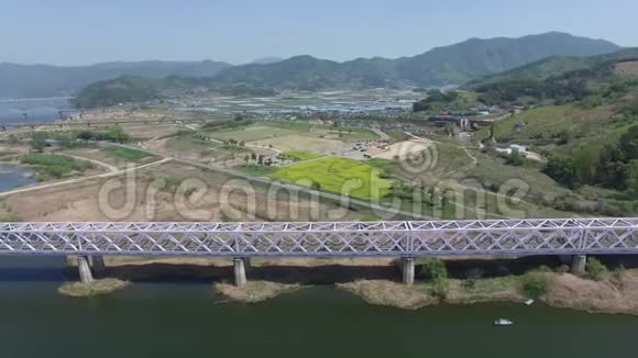 金海铁路金海韩国亚洲盛开的玉彩卡诺拉花视频的预览图