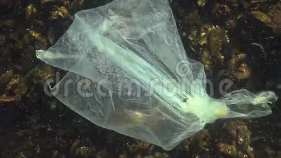 塑料袋在海里杀虾塑料垃圾污染视频的预览图