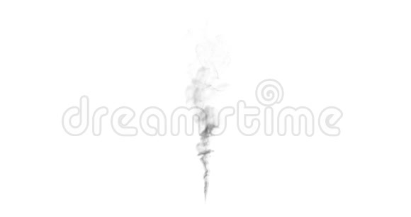 白色的烟雾缭绕视频的预览图