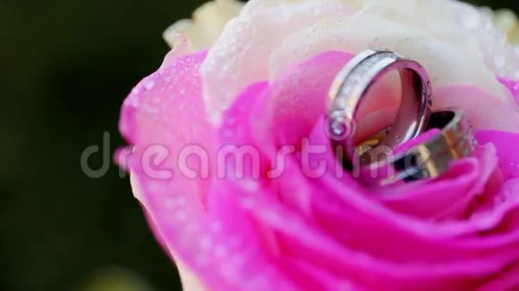 金色结婚戒指和粉红色玫瑰视频的预览图