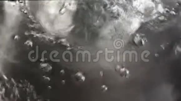 蒸龙虾海鲜视频的预览图