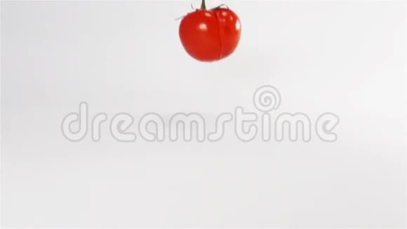 两半番茄在白色表面破碎视频的预览图