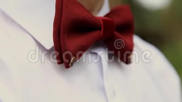 男新郎婚礼形象与蝴蝶蝴蝶缝在小猫头鹰身上特写镜头视频的预览图