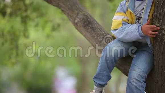 快乐的小男孩坐在树上视频的预览图