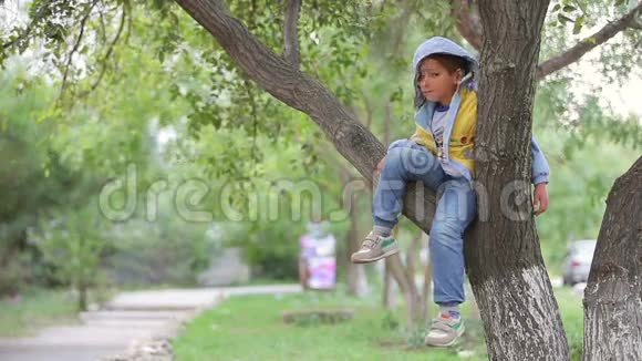 快乐的小男孩坐在树上视频的预览图