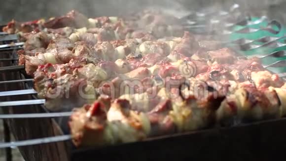 烧烤时的食物烧烤烤肉碎肉视频的预览图
