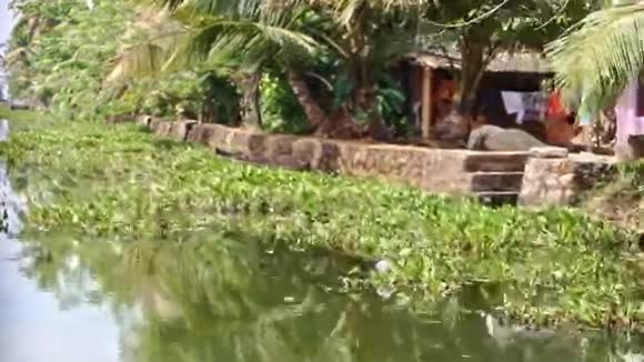 在热带地区沿着河岸带房屋的运动视频的预览图
