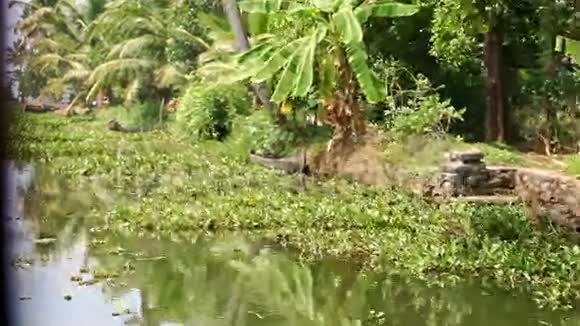 在热带地区沿着河岸带房屋的运动视频的预览图