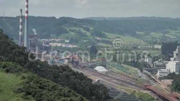4K港工厂在绿色自然的背景下观察工作的混合动物和制造视频的预览图