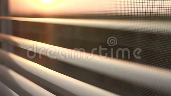 窗后日出百叶窗和蚊帐视频的预览图