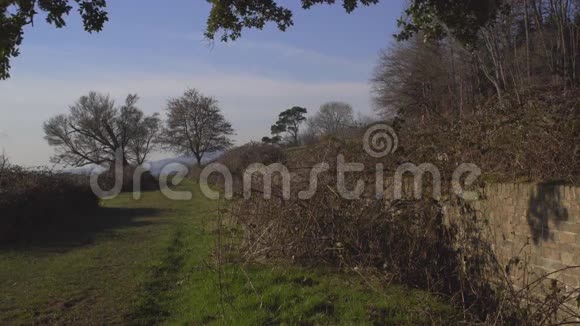 伦敦附近的英国乡村早春山榉木复制空间背景从地平线上看到美丽的景色视频的预览图