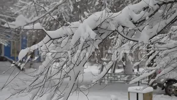 树枝在雪地里的城市街道上白雪皑皑冬天大自然在户外视频的预览图