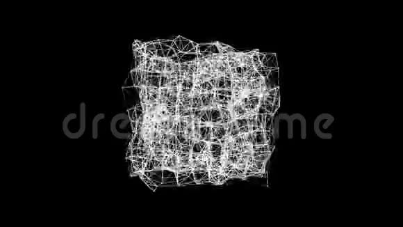白色立方体随机改变结构视频的预览图