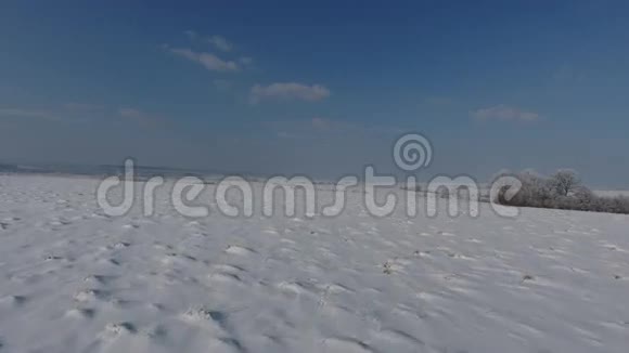 乌克兰2017年1月空中飞雪覆盖的田野雪松树在阴天的山坡上点缀视频的预览图