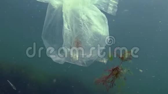 塑料袋在海里杀虾塑料垃圾污染视频的预览图