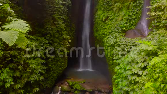 印度尼西亚巴厘岛丛林里的莱克莱克瀑布的鸟瞰图视频的预览图