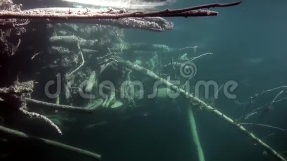 俄罗斯西伯利亚莱纳河水体阳光下的水下景观视频的预览图