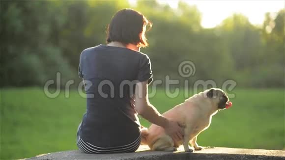 日落时年轻漂亮的女孩在公园里抚摸她的狗女人玩她的狗狗和主人坐在视频的预览图