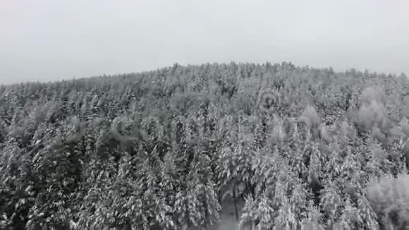 冬天下雪树木森林树林美丽的自然飞过去空中观景视频的预览图