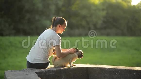 日落时年轻漂亮的女孩在公园里抚摸她的狗女人玩她的狗狗和主人坐在视频的预览图
