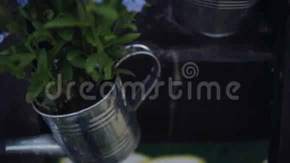 小蓝花在浇壶里视频的预览图