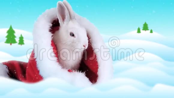 新年贺卡上有文字有趣的兔子洗脸视频的预览图