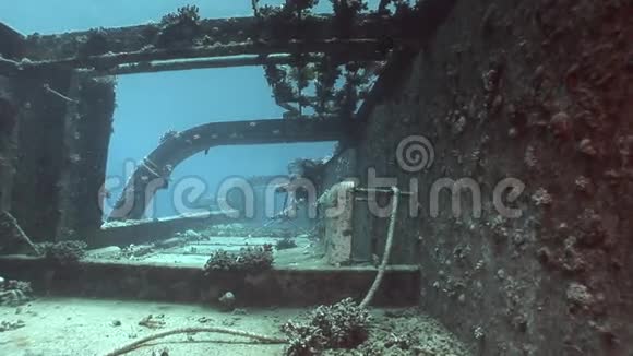 埃及海底沉船塞勒姆快船视频的预览图