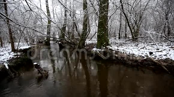 水上的冰柱视频的预览图
