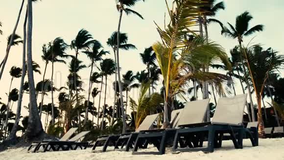 蓬塔卡纳度假胜地的热带岛屿海滩沙滩上的躺椅视频的预览图