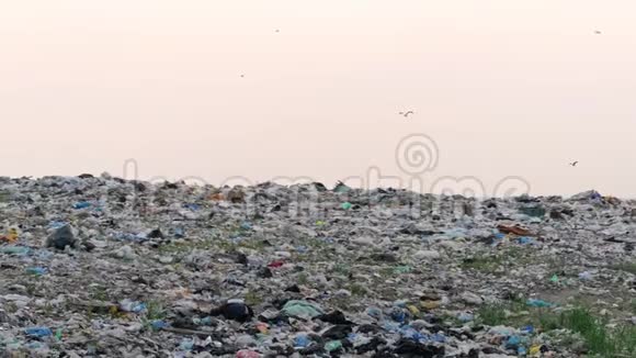 日落时俯瞰巨大的城市垃圾场垃圾车卸垃圾视频的预览图