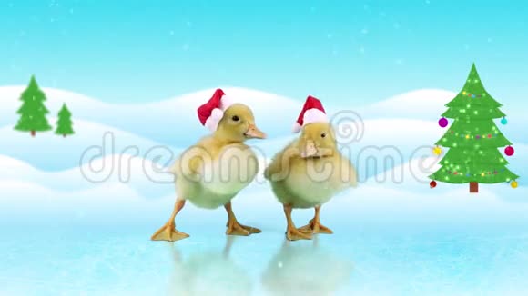 穿着圣诞老人帽子的滑稽小鸭子在冰上滑视频的预览图