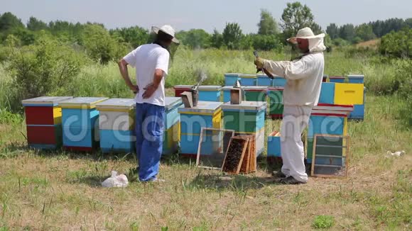 两个养蜂人正在检查蜂巢木架上的蜜蜂视频的预览图