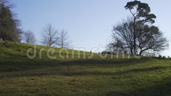 伦敦附近的英国乡村早春山榉木复制空间背景绿色的田野和蓝天视频的预览图
