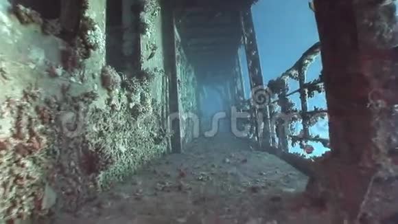 埃及红海水下沉船塞勒姆快船甲板视频的预览图