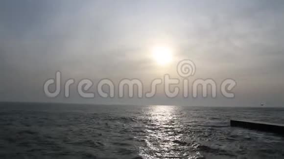敖德萨黑海海岸太阳海浪海鸥空中飞行视频的预览图