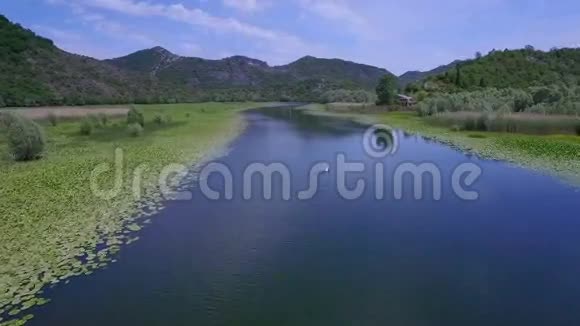 空中拍摄河流与绿色百合在水面视频的预览图
