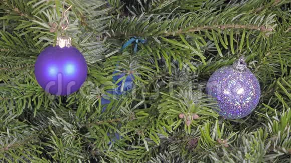 女性的双手发现新年礼物就在一棵圣诞树的树枝上视频的预览图