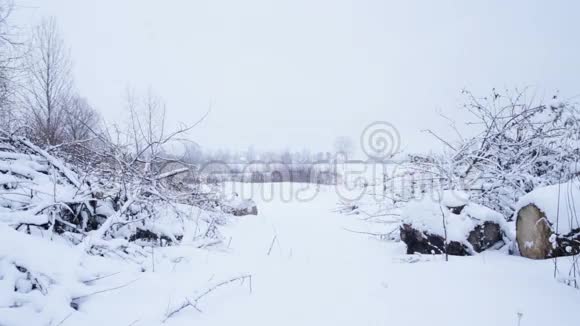 冬天的风景有雪和剪下的树木视频的预览图