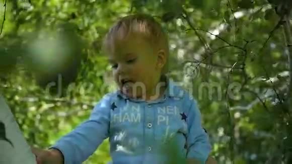 快乐的孩子在桦树的树枝上摇摆视频的预览图