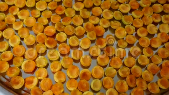 天然杏花在阳光下晾衣在家晒水果视频的预览图